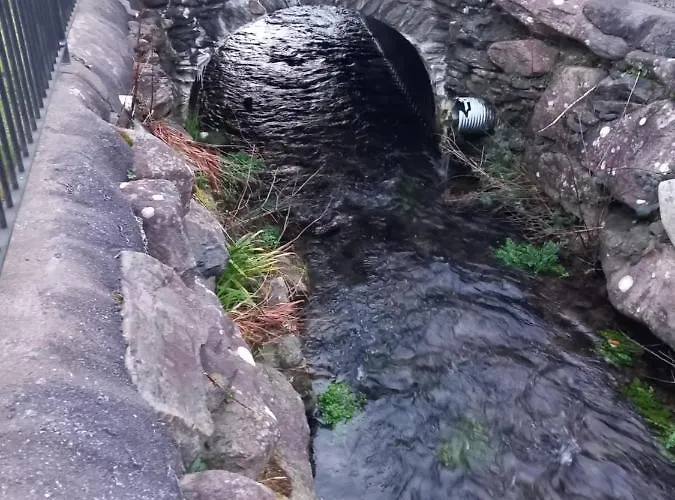 River Side شقة دينغل